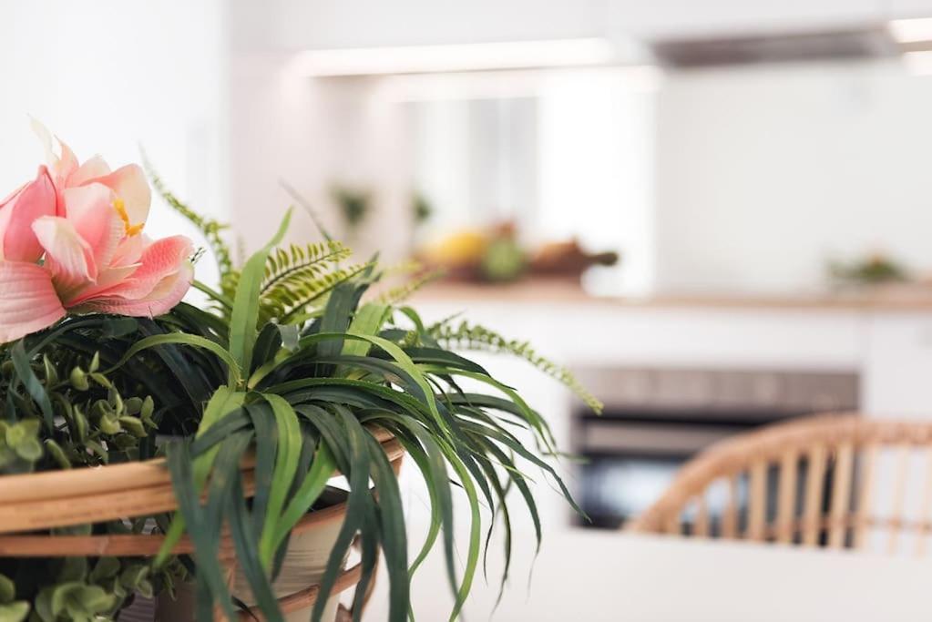 Vayadu Etoile House Apartment Ospedaletti Bagian luar foto